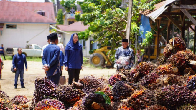 Bupati Dharmasraya, Annisa Suci Ramadhani, mengeluarkan himbauan tegas kepada seluruh perusahaan Pabrik Kelapa Sawit (PKS) di Kabupaten Dharmasraya te