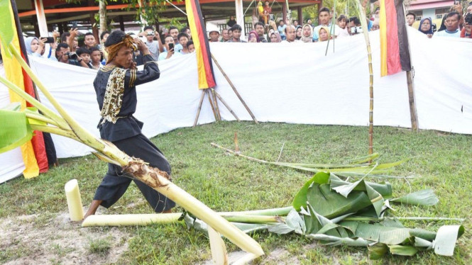 Prosesi kedua rangkaian pembuatan Tabuik tersebut adalah Manabang Batang Pisang