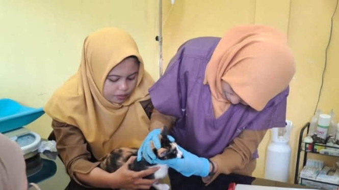 UPT Puskeswan Nanggalo, Pemerintah Kota Padang menghadirkan layanan kesehatan hewan terpadu mulai dari pengobatan, sterilisasi, vaksinasi rabies grati