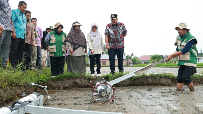 Kegiatan Tanam Perdana yang disaksikan oleh Wali Kota Pariaman, Yota Balad dengan menerapkan teknologi Pertanian Modern Advanced Agriculture System (P