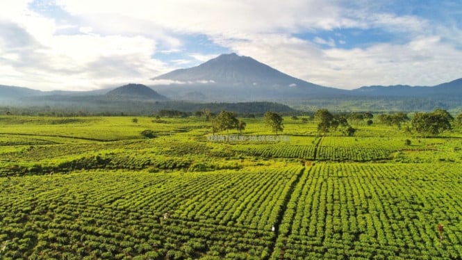 Gunung Kerinci