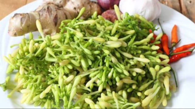 bunga pepaya