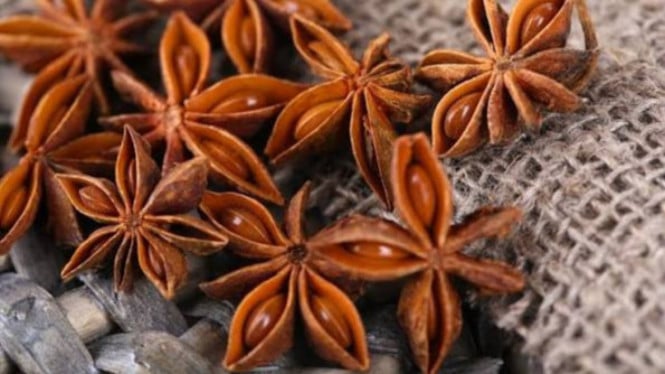 Bunga Lawang Bukan Sekadar Bumbu Masak, Rempah Beraroma Khas Ini Punya Beragam Pemanfaatan