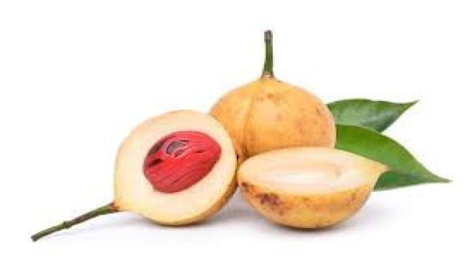Pala Kaya Nutrisi, Rempah Nusantara yang Pernah Diburu Bangsa Eropa