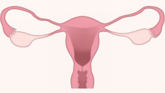 5 Ciri Vagina Sehat yang Perlu Moms Ketahui