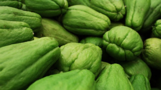 Labu Siam: Sayur Sederhana yang Diam-Diam Jadi Superfood untuk Usia 30+
