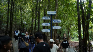 Liburan Seru Bareng Keluarga ke Bukit Peramun: Menikmati 'Hutan Digital' Pertama di Indonesia