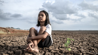 Perubahan Iklim Picu Penyebaran Penyakit Tropis, IDAI: Tingkatkan Kepedulian Lingkungan