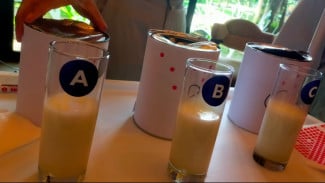 Bebas Khawatir Gula Berlebih: Mengapa Memilih Susu Tanpa Sukrosa Itu Penting untuk Si Kecil