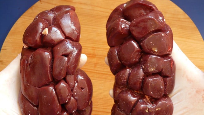 Ginjal
