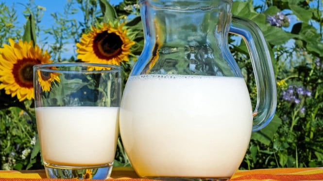Ilustrasi Susu Segar
