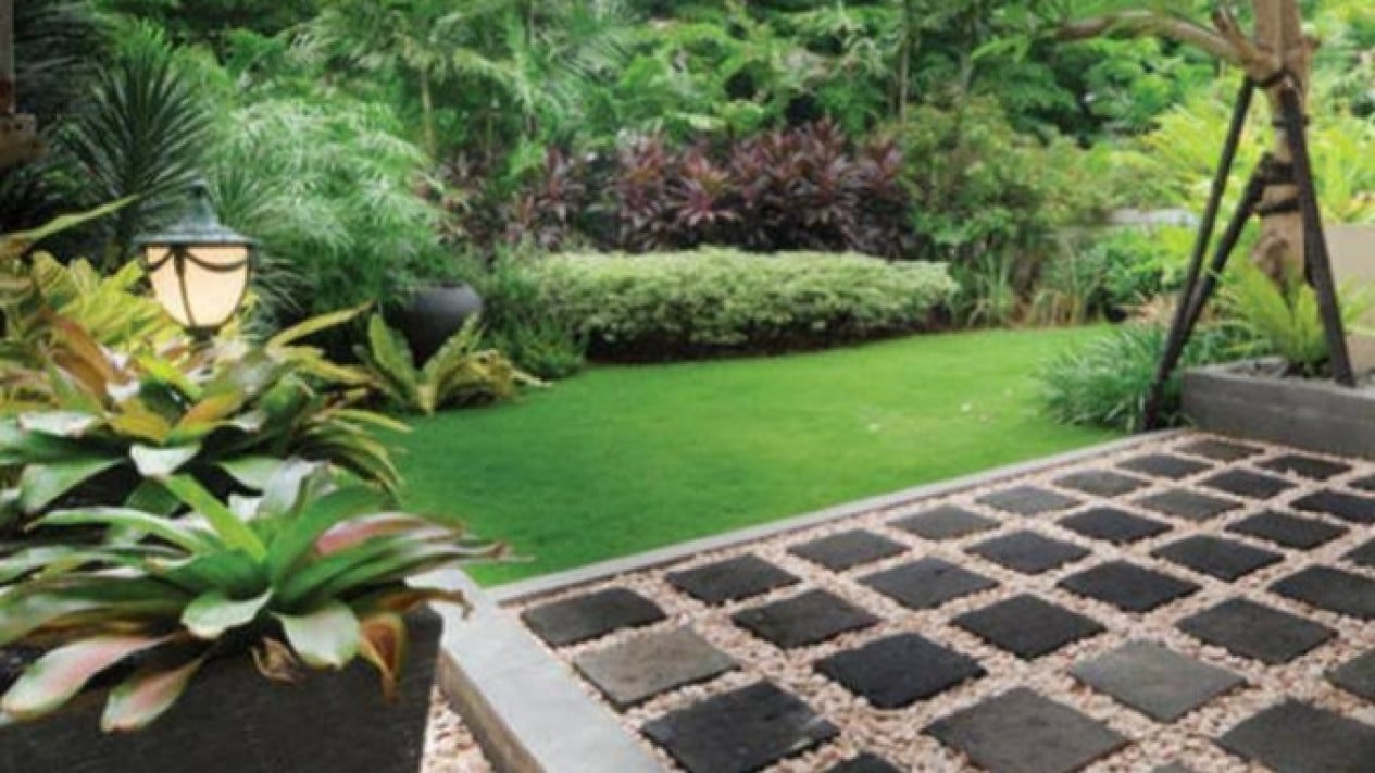 Foto Rahasia Rumput Halaman Rumah Tumbuh Sehat dan Hijau Segar, Sangat ...