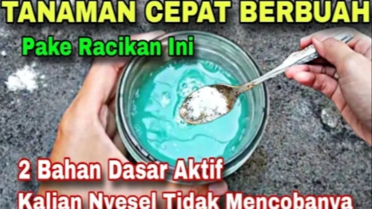 Tips Menanam di Depan Rumah: Panen Buah Setiap Hari dengan Pupuk ...