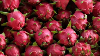 3 Manfaat Buka Puasa Dengan Buah Naga, Apa Saja?