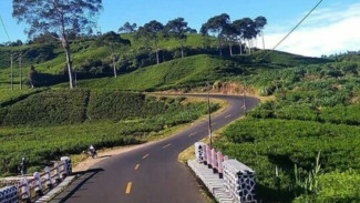 Jalur Cepat dari Bandung ke Pangandaran dengan Motor untuk Touring
