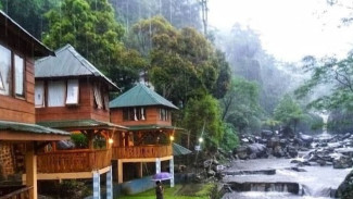 3 Rekomendasi Penginapan Murah di Puncak Bogor, Harga di Bawah Rp250 Ribu