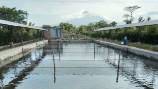 5 Spot Memancing Terbaik di Karawang Cocok Buat Healing