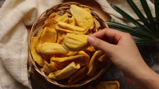 Peluang Usaha Keripik Nangka Gurih Renyah, Untung Melimpah Jadi Cepat Kaya