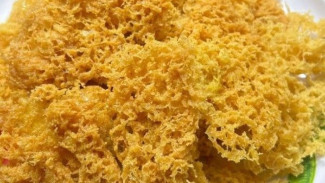 Kremesan Ayam Rumahan yang Gurih Renyah dan Tahan Lama, Jelas Ada Triknya!