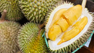 Tips Memotong Buah Durian dengan Benar, Mudah dan Cepat, Selesai dalam Waktu 1 Menit!