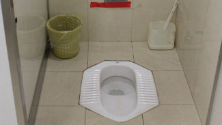 Photo Mini 2