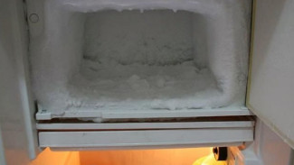 Bunga Es Tebal di Freezer? Begini Cara Mencairkannya dengan Mudah!