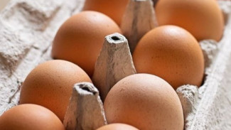 3 Tips Memilih Telur Ayam yang Masih Bagus dan Berkualitas, Jangan Asal!