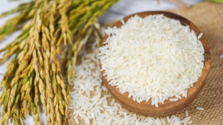 9 Rahasia Menyimpan Beras yang Dijamin Bebas Kutu dan Tahan Lama!