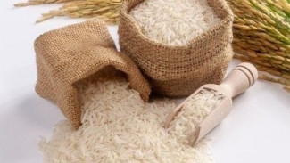 Cara Baru! Tips Menyimpan Beras Agar Bebas Kutu, Dijamin Aman