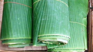Daun Pisang Jadi Lentur dan Tak Pecah! Coba Teknik Ini di Rumah