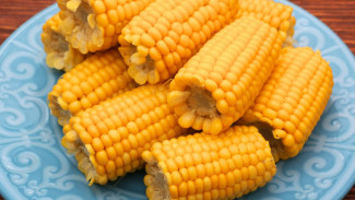 Rahasia Puasa Anti Lapar! 8 Makanan Ini Bikin Kenyang Lebih Lama
