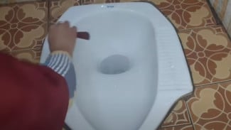 Beri Lada Hitam pada Kloset, Kamu akan Terkejut dengan Hasilnya, Bersih dan Bebas Bau
