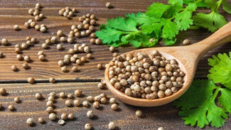 Ketumbar Bukan Sekadar Bumbu, Ini 5 Manfaat Ajaib untuk Kesehatan Tubuh!