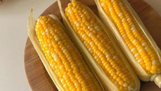 Trik Rahasia Rebus Jagung Agar Tetap Manis, Empuk, dan Super Lezat! Dijamin Ketagihan!