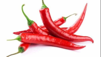 Cabai Selalu Busuk Cepat, Ternyata Salah Cara Simpan, Begini Tips yang Benar