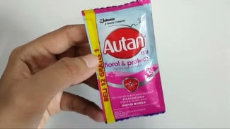 Manfaat Lain Autan Selain Obat Nyamuk, Rayap di Kayu Bisa Minggat, Cukup Campurkan Bahan Lain Lalu Semprot