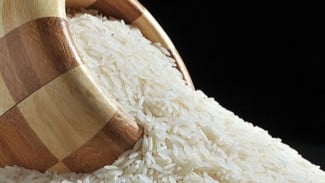 Bebas Kutu Beras! Berikut 5 Cara Ampuh Lindungi Beras di Rumah Agar Awet dan Sehat