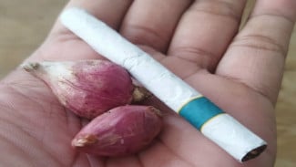 Bawang Merah + Tembakau Rokok? Rahasia Jitu Usir Semut dan Tikus di Rumah, Wajib Coba!