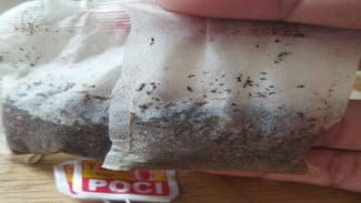 Cuma Rp500, Trik Cerdik Bikin Kamar Wangi Seharian! Pakai Teh Celup, Hasilnya Bikin Kaget!