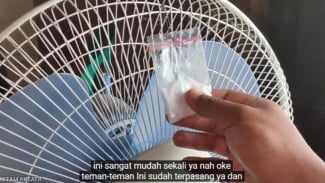 Gampang Banget! Begini Cara Bikin Ramuan Anti Nyamuk dengan Minyak Kayu Putih