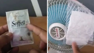Nyamuk Auto Kocar-Kacir! Ternyata Cuma Butuh Tisu Harum Ini