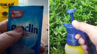 Halaman Rumah Rapi Seketika! Rumput Liar Habis dalam 3 Hari, Modal Cuma 4 Bahan