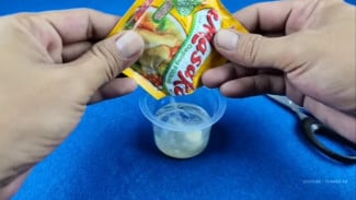 WOW! Bumbu Dapur Ternyata Bisa Jadi Campuran Racun Tikus Mematikan, Ini Caranya