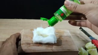 Ramuan pengusir nyamuk Ramuan pengusir nyamuk