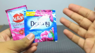 Trik Mengusir Nyamuk Sekaligus Pengharum Ruangan, Murah dan Mudah Dicoba!