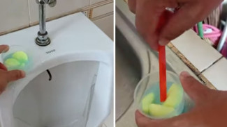 Tips Mudah Hilangkan Bau Pesing di Kamar Mandi, Bau Auto Hilang dalam Sekejap Mata!