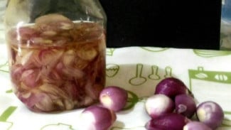 Murah! Cuma Pakai Bawang Kamu Bisa Bikin Pupuk Perangsang Akar dan Tunas, Caranya Mudah Banget