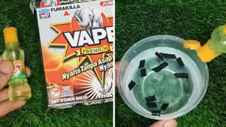 Jangan Pernah Tahu! Minyak Telon dan Obat Nyamuk Bakar Bisa Jadi Pengusir Nyamuk Super Efektif!