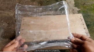 Tips Memanfaatkan Botol Plastik Bekas Jadi Barang Berharga, Modal 0 Rupiah Untung Selangit!