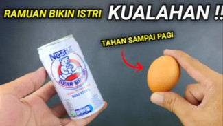 Ini Manfaat Campuran Susu dan Telur, Sekali Minum Bikin Stamina Kuat, Tahan Lama, Istri Pasti Suka